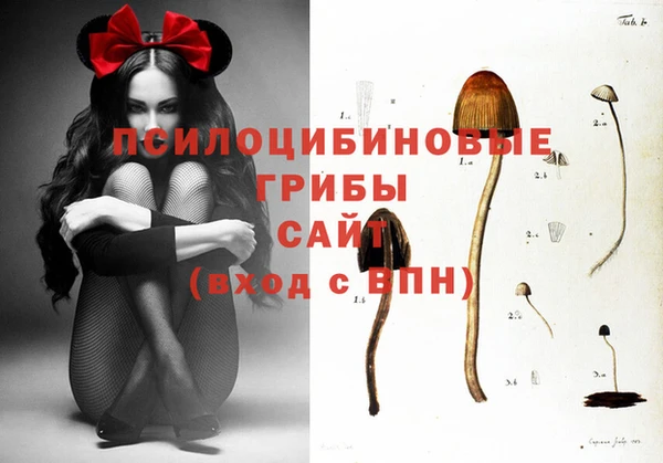 дживик Алзамай